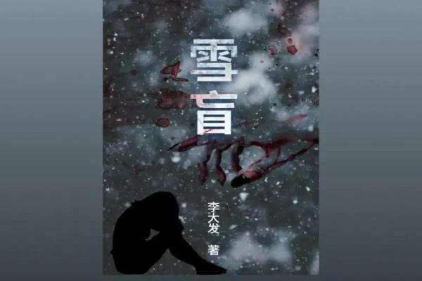 李大发的《雪盲》书评（主角：李正天）-读书翁