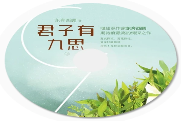 东奔西顾的《君子有九思》书评（主角：陈慕白&顾九思）-读书翁