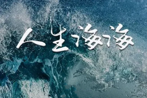 麦家的《人生海海》书评（主角：蒋正南等）-读书翁