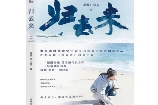 高璇和任宝茹的《归去来》书评（主角：萧清）-读书翁