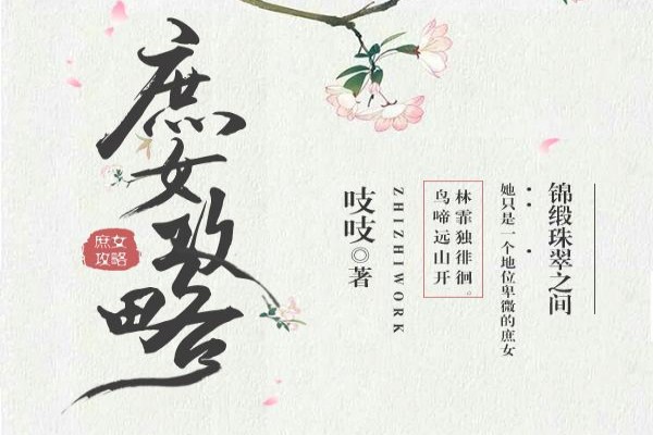 吱吱的《庶女攻略》书评（主角：十一娘）-读书翁