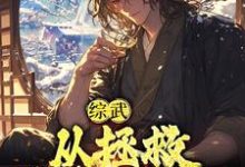 完结版《综武：从拯救殷素素开始》在线免费阅读-读书翁