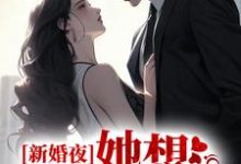 完结版《新婚夜，她想谋杀亲夫》章节目录在线阅读-读书翁