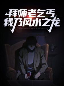 已完结小说《拜师老乞丐：我乃风水之龙》在线章节阅读