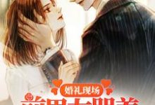 完结版《婚礼现场，前男友哭着求我回头》章节阅读-读书翁