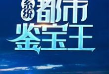 在线寻找系统：都市鉴宝王小说的无删减版本-读书翁