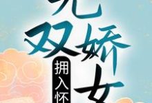 于安歌殷九策小说叫什么（无双娇女拥入怀免费阅读）-读书翁