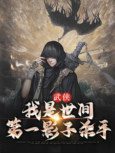 武侠：我是世间第一影子杀手章节免费在线阅读，王易完结版