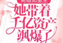 完结版《离婚如重生，她带着千亿资产飒爆了》章节阅读-读书翁