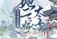 完结版《渣男宠妾灭妻？她二嫁太子》章节阅读-读书翁