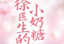 完结版《徐医生的小奶糖》章节阅读-读书翁