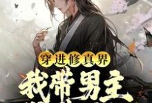 小说《穿进修真界：我带男主得道升仙》章节阅读-读书翁