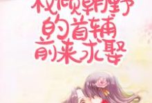 完结版《丧偶当天，权倾朝野的首辅前来求娶》免费阅读-读书翁