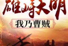 《雄峙大明：我乃曹贼》小说主角曹蒙马良章节章节免费在线阅读-读书翁