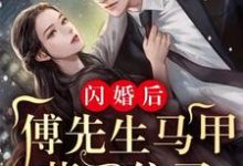 完结版《闪婚后：傅先生马甲藏不住了》章节阅读-读书翁