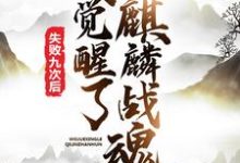 完结版《失败九次后，我觉醒了麒麟战魂》在线免费阅读-读书翁