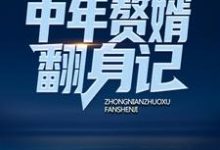 想读赵晓峰沈露的故事，哪里可以免费找到中年赘婿翻身记？-读书翁