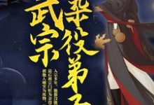 《武宗杂役弟子》小说主角叶天苏夭夭章节章节免费在线阅读-读书翁