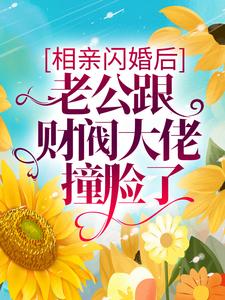 在线寻找相亲闪婚后，老公跟财阀大佬撞脸了小说的无删减版本