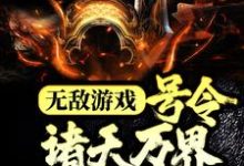 《无敌游戏：号令诸天万界当魔君》小说主角苏白章节章节免费在线阅读-读书翁