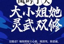 主角 洛紫曦夜绯绝小说凤吟于天：大小姐她灵武双修免费阅读-读书翁