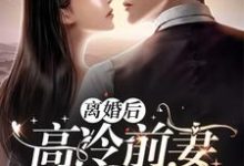 已完结小说《离婚后，高冷前妻求复合》在线章节阅读-读书翁