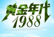 小说《黄金年代1988》章节免费阅读-读书翁