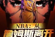 NBA：从詹姆斯离开骑士开始这本小说在哪里可以看？哪里有免费试读章节？-读书翁