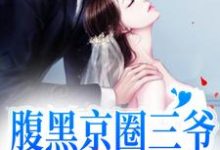 完结版《腹黑京圈三爷，只对她心动》在线免费阅读-读书翁