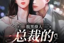 完结版《腹黑撩人：总裁的宠爱陷阱》在线免费阅读-读书翁