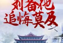 《三国：转投曹操后，刘备他追悔莫及》小说章节列表免费试读， 杨凌糜贞小说在线阅读-读书翁