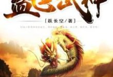 完结版《盖世武神》免费阅读-读书翁