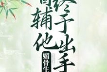 小说《媚骨生香：首辅他终于出手了》章节免费阅读-读书翁