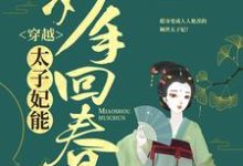 《穿越：太子妃能妙手回春》全集免费在线阅读（江紫烟南宫昊）-读书翁