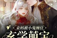 完结版《亲妈被小鬼缠住，玄学萌宝在线画符》章节阅读-读书翁