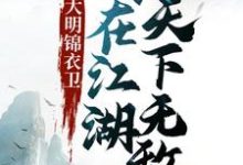 萧无常小说叫什么（大明锦衣卫：我在江湖天下无敌免费阅读）-读书翁