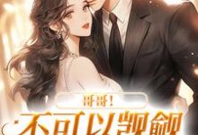 霍律师的掌上明珠小说阅读，霍律师的掌上明珠完结版-读书翁