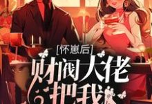 完结版《怀崽后，财阀大佬把我娶回家》章节阅读-读书翁