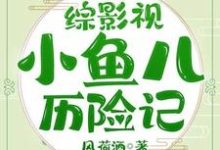 完结版《综影视小鱼儿历险记》章节阅读-读书翁