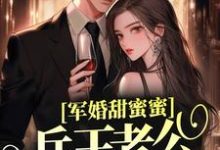 小说《军婚甜蜜蜜，兵王老公会宠妻》章节阅读-读书翁