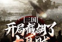 完结版《三国：开局截胡了大耳贼》章节阅读-读书翁