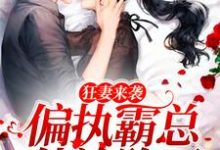 完结版《狂妻来袭，偏执霸总他沦陷了》章节阅读-读书翁