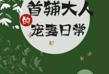 完结版《首辅大人的宠妻日常》章节阅读-读书翁