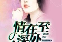 完结版《情在至深处》章节目录在线阅读-读书翁