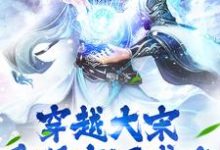 完结版《穿越大宋：重现唐汉盛世》免费阅读-读书翁