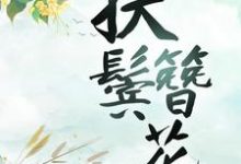 完结版《扶鬓簪花》在线免费阅读-读书翁