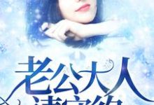 完结版《老公大人请守约》免费阅读-读书翁