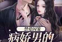 完结版《禁爱囚笼：病娇男的独占欲》章节阅读-读书翁