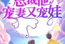 完结版《婚途漫漫：总裁他宠妻又宠娃》章节目录在线阅读-读书翁