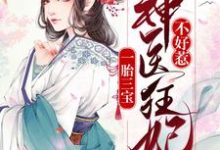 完结版《一胎三宝：神医狂妃不好惹》章节阅读-读书翁